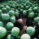 Illustration for article titled The Magic of Skyrim Mods: A Naked Man Swimming in Cabbage